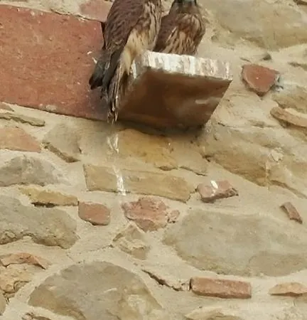 Apartamento Umbria Country Shelter *